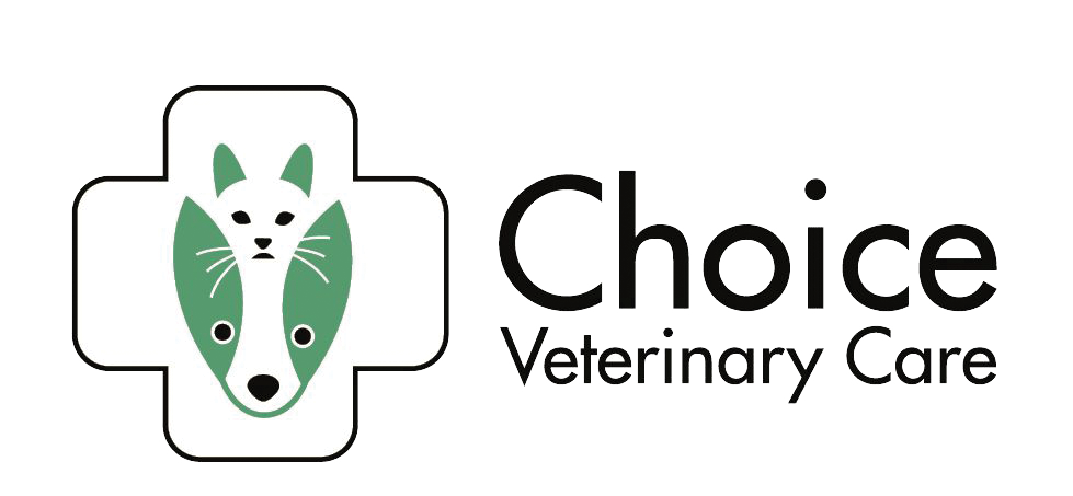 choice final logo