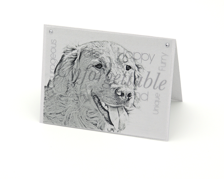Retriever blank all-occasion pet note card with envelope