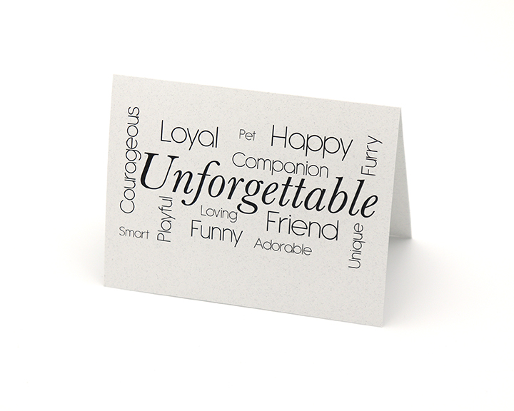 product_1_6a47f3e75a33a.jpg