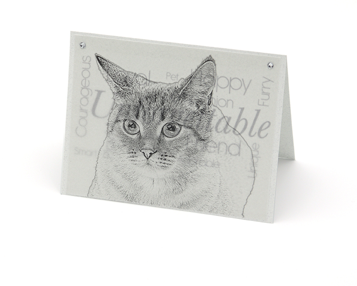 Cat 2 blank all-occasion pet notecard with envelope