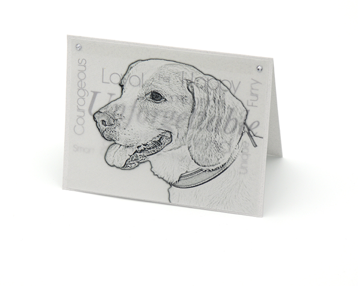 Beagle blank all-occasion pet note card with envelope