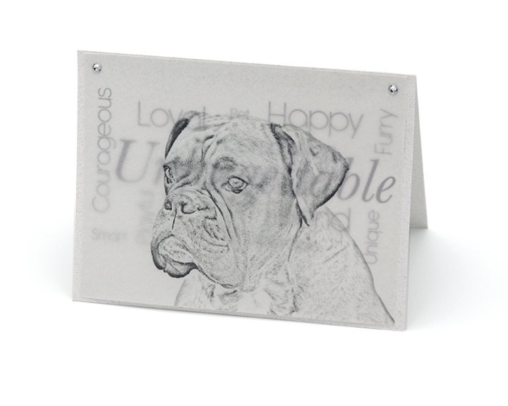 Boxer blank all-occasion pet note card with envelope