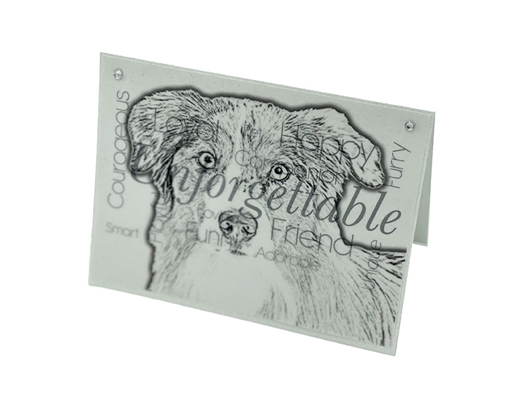 Aussie Shepherd blank all-occasion pet notecard with envelope