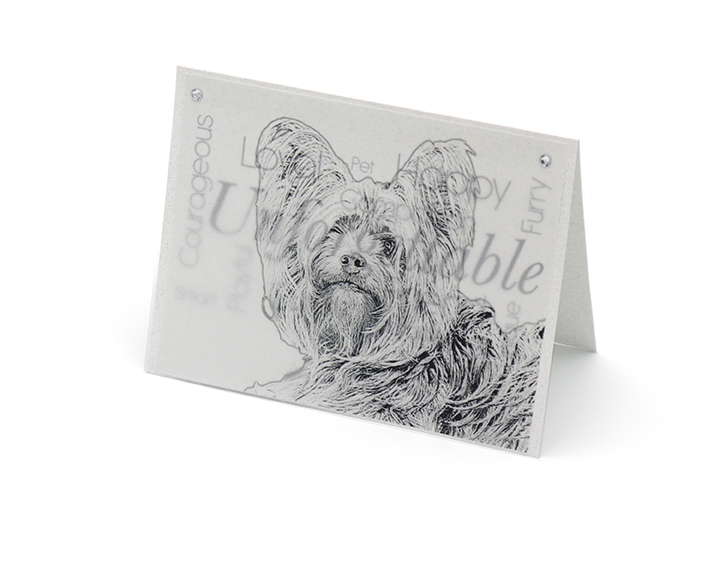 Yorkie Terrier blank all-occasion pet notecard with envelope