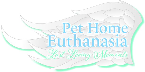 PHE-logo-final
