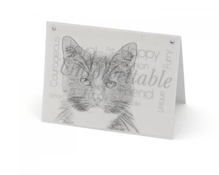 Cat 1 blank all-occasion pet notecard with envelope
