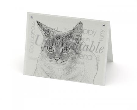 Cat 2 blank all-occasion pet notecard with envelope