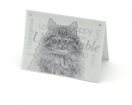 Cat 3 blank all-occasion pet notecard with envelope