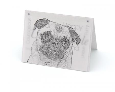 Pug blank all-occasion pet notecard with envelope