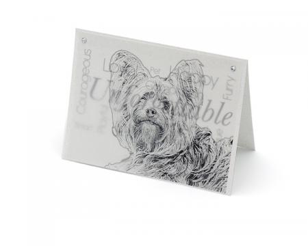 yorkie terrier blank all-occasion pet notecard with envelope